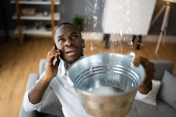 Best Water damage restoration near me  in Presidential Lakes Estates, NJ