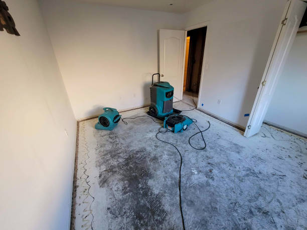Best Water damage cleanup near me  in Presidential Lakes Estates, NJ