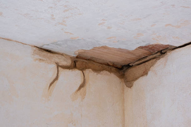 Best Water damage restoration company  in Presidential Lakes Estates, NJ