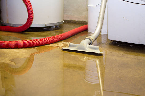 Best Water damage contractors near me  in Presidential Lakes Estates, NJ