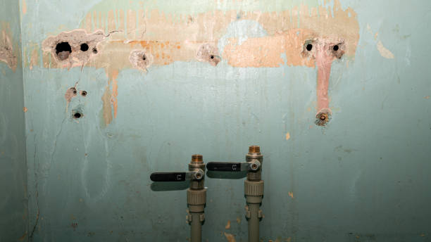 Best Sewage cleanup and water damage restoration  in Presidential Lakes Estates, NJ